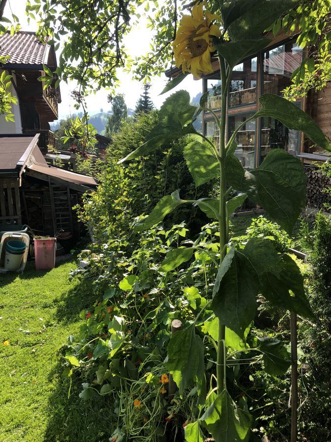 Gaestehaus Lackner Oberau Exterior foto